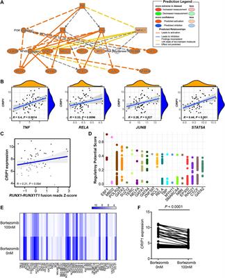 Comprehensive Analysis of CRIP1 Expression in Acute Myeloid Leukemia